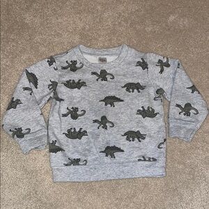 Dinosaur Print Gray Sweatshirt